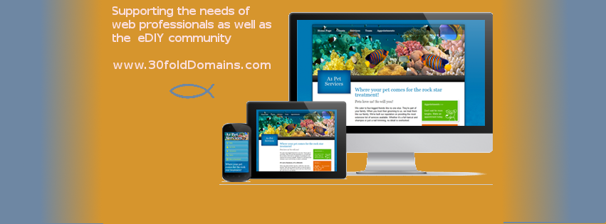 30fold buy website domain names